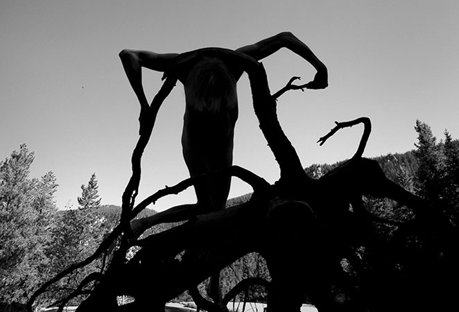 Arno Rafael Minkkinen, Independence Pass, Colorado, 2012 - Copyright Arno Rafael Minkkinen