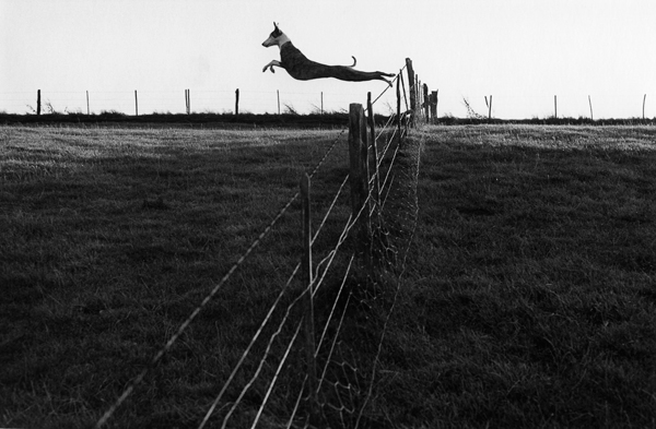 Fay Godwin, 