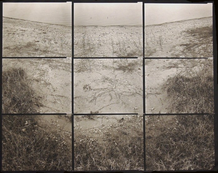 Koichiro Kurita,  Creeper, 2006 - Copyright Koichiro Kurita