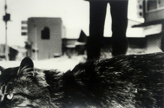 Daido Moriyama - Northern No1, 2008 - © copyright Daido Moriyama