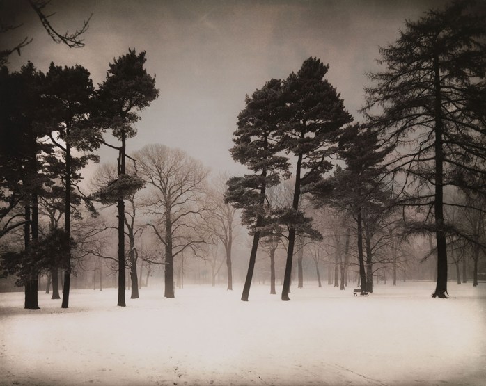 August Sander - Stadtwald (Urban Forest), c. 1938 - © Images is copyright of their owners, assignees or others