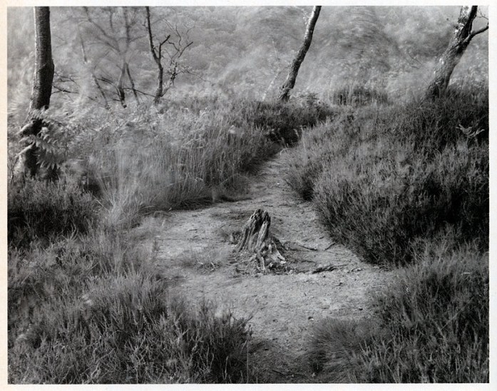 John Blakemore - Path, undated - © John Blakemore