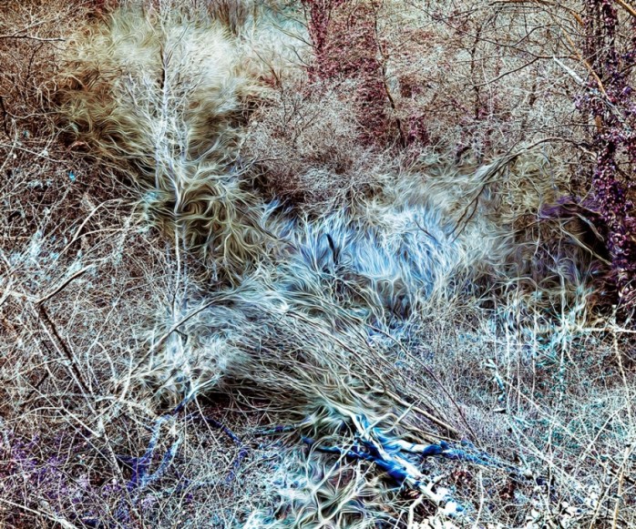 Jean Vincent Simonet - From the series "Maldoror, Chant Premier", 2014 - © Jean Vincent Simonet