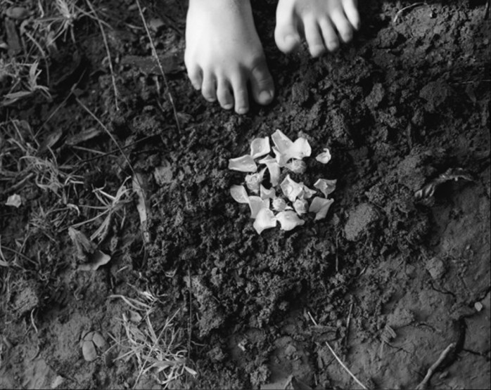 Emily Matyas, Bird Grave, 2000, from the series "Passing Traits" - © Emily Matyas