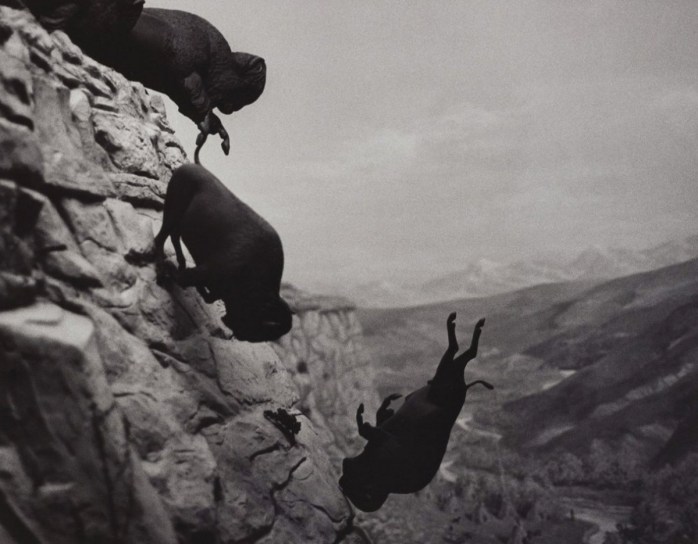 David Wojnarowicz, Untitled (Buffaloes), 1994 - ©  the estate of David Wojnarowicz