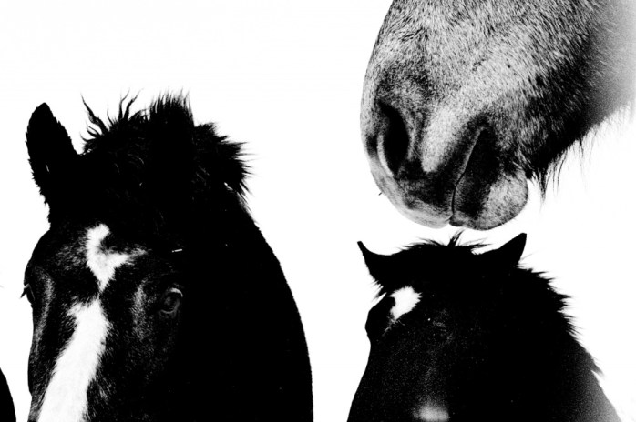 Hajime Kimura - From the series 