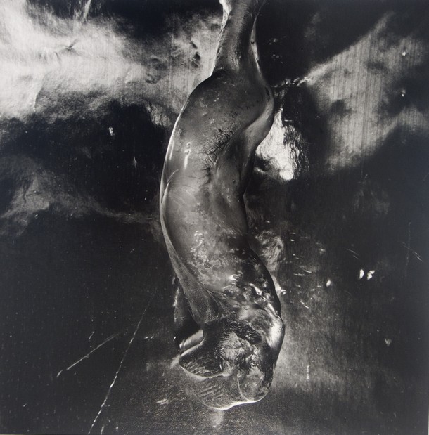Shomei Tomatsu, Melted bottle of Nagasaki, 1961 - © Images is copyright of the respective owners, assignees or others