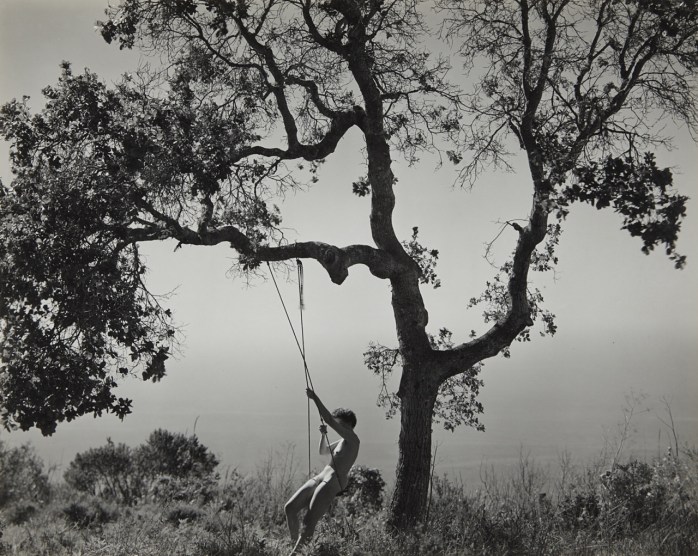 Edward Weston, Winter Idyll, 1945.