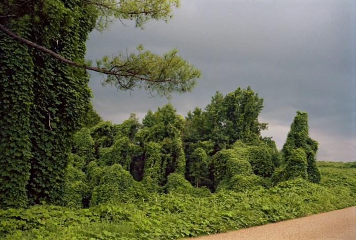 william-christenberry