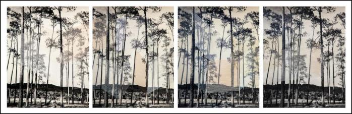 maurizio-anzeri-heavenly-sounds-trees-2016