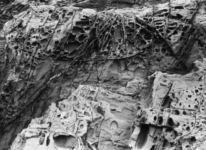 Albert Renger-Patzsch