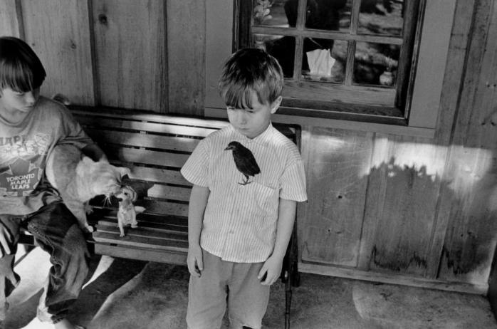 Larry Towell