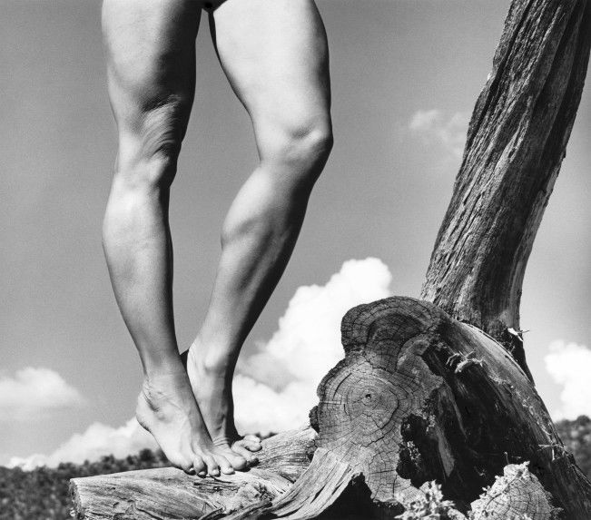 Allen A. Dutton, Karen’s Legs, 1990. © Allen A. Dutton